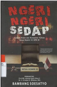 Ngeri- ngeri sedap : catatan kritis dan kumpulan tulisan ketua komisi III