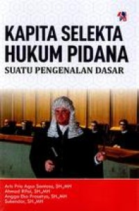 Kapita selekta hukum pidana : suatu pengenalamn dasar