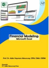 Image of Financial Modelling: microsoft excel