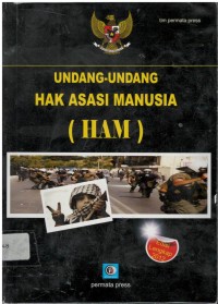 Undang-undang hak asasi manusia (HAM)