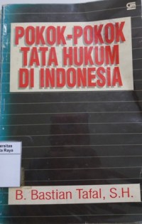 Pokok-pokok tata hukum di Indonesia