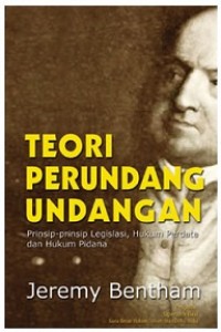 Teori perundang-undangan : prinsip, hukum perdata, dan hukum pidana